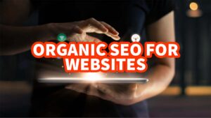 organic-seo-websites